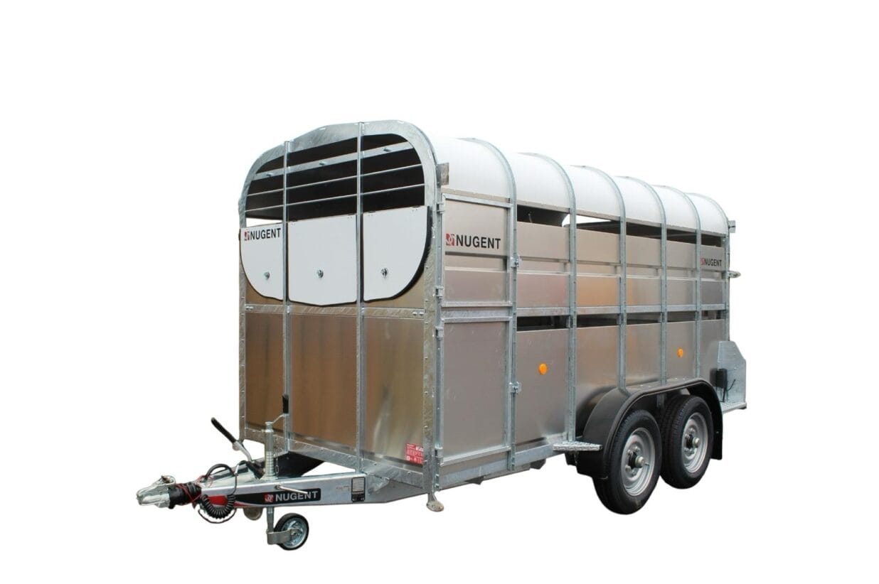 serie-475-FUh7G5fJn-1236x822